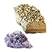 JIC Gem Box of Natural Amethyst with Gold Titanium Coated Amethyst Druzy Cluster Geode Specimen Chunk (Golden & Natural)