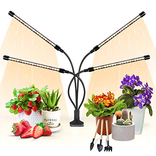 Amazon.ca Growing Lamps Patio, Lawn & Garden