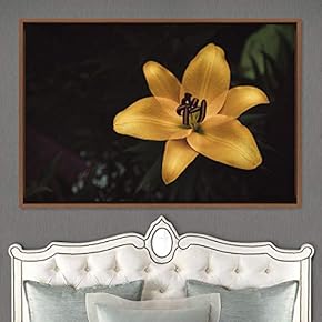 signwin Framed Canvas Wall Art Flora Snapshot Closeup...