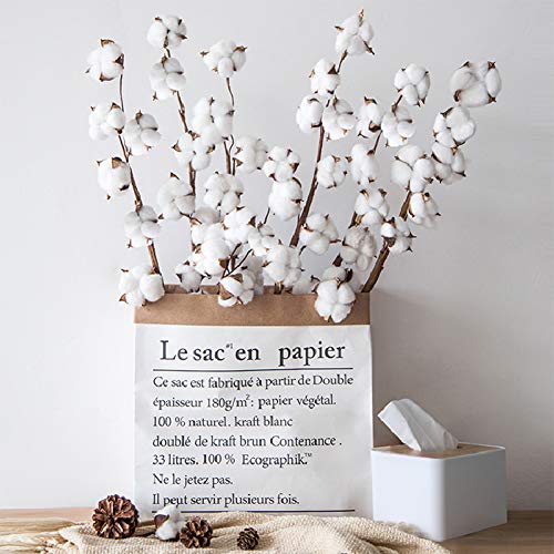 HAKACC Baumwolle Deko, 10 Stück Natürlich Getrocknete Baumwolle Trockenblumen Deko DIY Dekoration Home Party