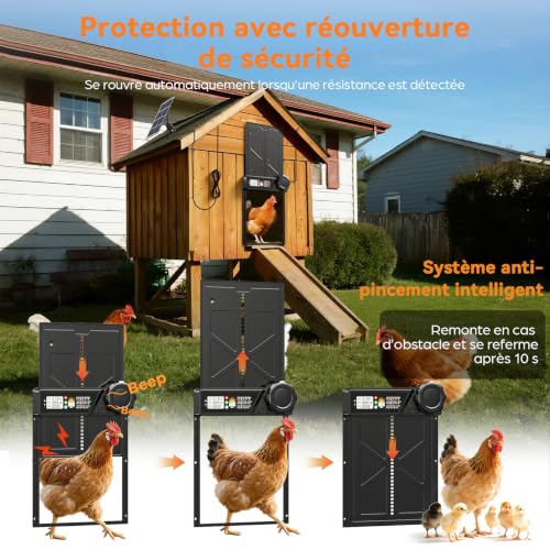 Grande Porte Automatique Poulailler Solaire avec Panneau 7W | Minuterie, Télécommande 15m, Écran LCD, Anti-Pincement, pour Poules Canards