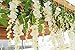 Lannu 12 Pack 3.6 FT Long Artificial Wisteria Flowers Silk Hanging Vine Ratta Flowers String Bush for Home Wedding Party Decor, Cream