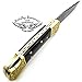 Best.Buy.Damascus1 Damascus pocket knife, Folding knife, Pocket Knife For Men, Knife Set with knife sharpeners Premium Quality gifts for men (Buffalo Horn Scrimshaw)