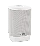 Riva Arena Multiroom Wireless Bluetooth Smart Speaker with Chromecast for Home Audio and Outdoor (White), Combo with Battery