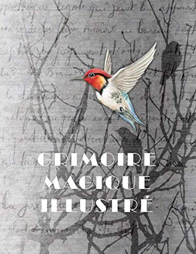 GRIMOIRE MAGIQUE ILLUSTRÉ: Cahier journal de rituels magiques d'une durée de deux ans (calendrier mensuel perpétuel) (French Edition) by Mélusine BYRNE
