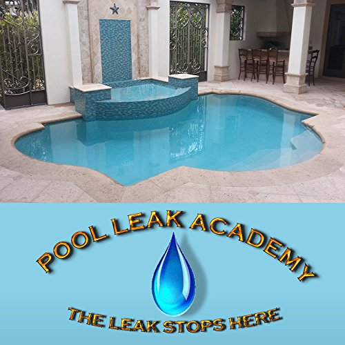 SWIMMING POOL LEAK DETECTION DYE TEST SYRINGE AND UNDERWATER REPAIR KIT