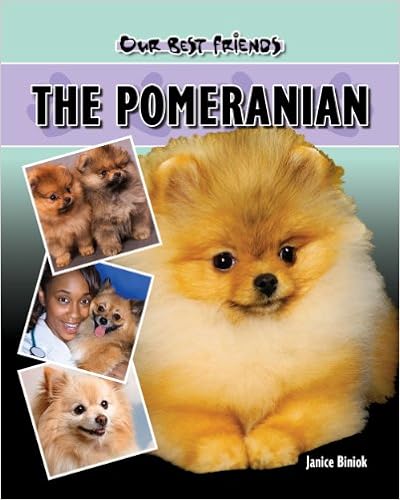 The Pomeranian (Our Best Friends) �n�[�h�J�o�[ - 2007/2/28