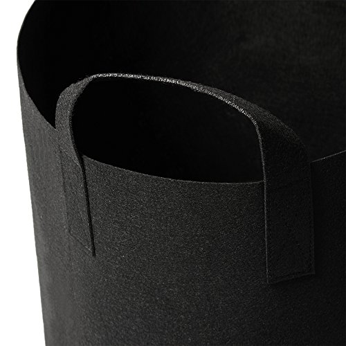 3 HONEST+OUTFITTERS+Container+Aeration+Handles