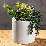 MyGift 7-Inch Artificial Succulent Plant Arrangement in Cement-Tone Planter