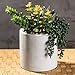 MyGift 7-Inch Artificial Succulent Plant Arrangement in Cement-Tone Planter