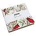 Splendid Charm Pack by Robin Pickens; 42-5 Inch Precut Fabric Quilt Squares… B07QKGV67H