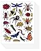Insect Bug Butterfly Scrapbook Stickers (10 Sheets)