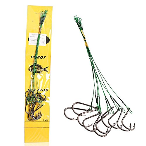 Sougayilang Fishing Hook Snelled Stainless Steel Wire Leader Fishing Rigs Hooks Pack of 10pcs