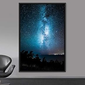 signwin Framed Canvas Wall Art Beautiful Landscape Canvas...