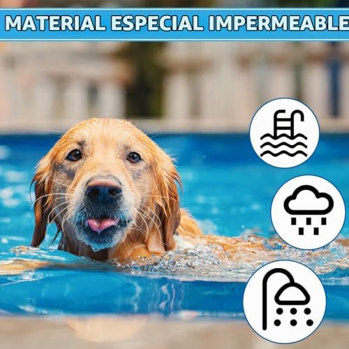 Collar antipulgas para Perros, Impermeable antipulgas y parásitos, 12 Meses de protección 65 cm (Azul-1p) (Azul-2p)