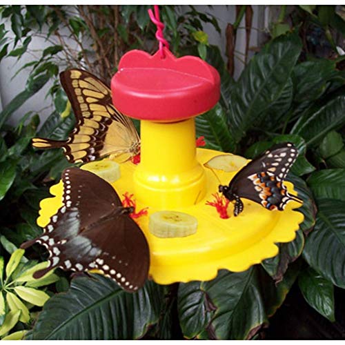 Songbird Essentials Butterfly Feeder