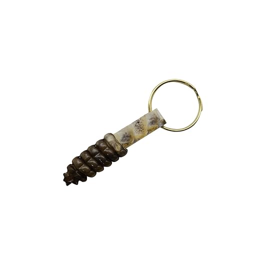 Rattlesnake Tail Rattle Keychain 100 Real Taxidermy Car