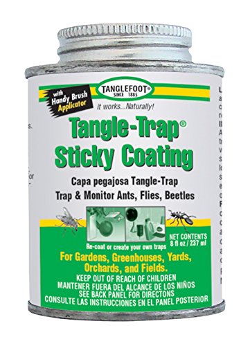 Tanglefoot Bundle 2 Products Tree Insect Barrier Tub + 8-Ounce Tangle-Trap Brush On Sticky Trap Coating - Thumbnail 2
