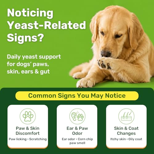 Puyrzoe Yeast Infection Treatment for Dogs, Itchy Skin, Paw Licking, Ear Odour & Allergy Relief, 200 Soft Chews, Dog Yeast Infection Treatment, Immune & Gut Support with Probiotics, Chicken Flavour