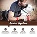 Holistic Select 24941 Natural Dry Dog Food, Large & Giant Breed Adult Recipe, 15-Pound Bag