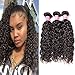 Longqibeauty Brazilian Water Wave Virgin Hair 3 Bundles Remy Human Hair Weave Double Weft 300g Natural Color (12 14 16 Inches)