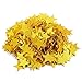 500-Piece Gold Star Cutouts Confetti Paper Set - Biodegradable Star Shaped Confetti, Gold Glitter Confetti for Weddings, Crafts, Eco-Friendly Bachelorette Party Decoration - 1.2 inches