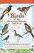 Birds of the Dominican Republic and Haiti (Princeton Field Guides)
