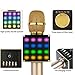 Wireless Bluetooth Karaoke Microphone H8 with LED Lights and Built in Bluetooth Speakers, 2600mAh Handheld Mic Machine for iPhone and Android - Home KTV Karaoke Singing (Gold)