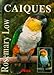 Caiques by 