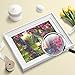 Moi Doi 5D DIY Diamond Painting Kits, Bird’s Nest Full Drill Diamond Painting by Number Kit for Adults Kids, Rhinestone Embroidery Canvas Pictures Arts Craft for Home Wall Décor Gift 15.8 x 11.8 inch