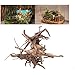 Driftwood for Aquarium Wood Natural Trunk Reptile Driftwood Tree Aquarium Fish Tank Plant Stump Ornament Decor 4 PCSthumb 3
