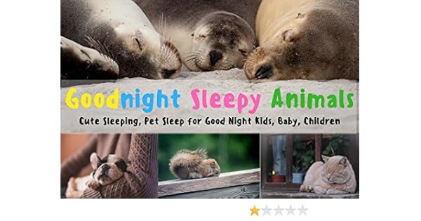 Amazon Com Goodnight Sleepy Animals Cute Sleeping Pet Sleep For