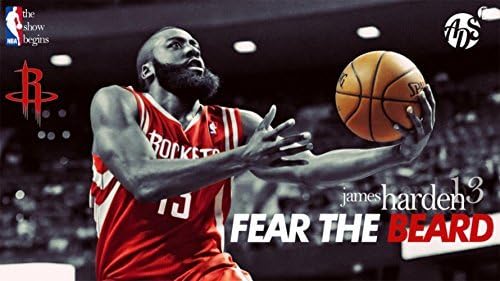 we are together James Harden poster wall scroll familywall print 43 inch x 24 inch
