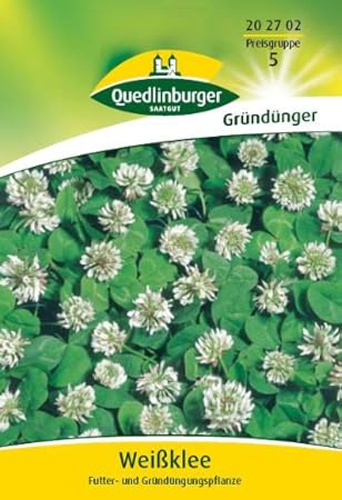 Weißklee