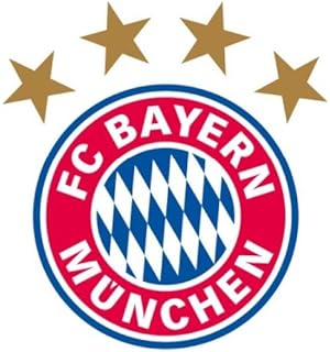 Fussball Fanshop Fc Bayern Munchen Teppich Logo Sport