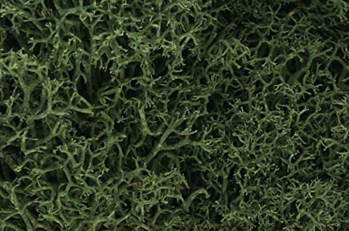 Lichen 1.5qt-Medium Green