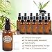 Pack of 12, 2 oz Amber Glass Bottles with Black Fine Mist Sprayers by Mavogel, Including 2 Extra Black Fine Mist Sprayers, 2 Stainless Steel Mini Funnel, 2 Transfer Pipettes, 12 Bottle Labels