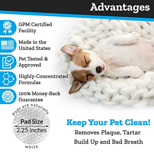 Dental Wipes For Dogs And Cats Pads With Chlorhexidine And Sodium Hexametaphosphate Remove Plaque Tartar Buildup Calculus And Bad Breath Preventing Tooth Decay 1 X 50 Wipes Pricepulse