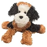 Douglas Bouncy Bernedoodle