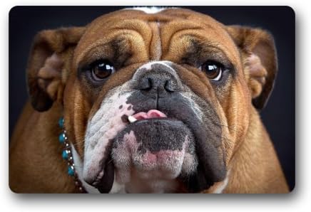Cool Bulldog Face Pug Dog Doormats Entrance Mat Floor Mat Door Mat Rug Indoor/Outdoor/Front Door/Bathroom Mats Rubber Non Slip (23.6"x15.7",L x W)