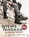 Juvenile Delinquency in a Diverse Society