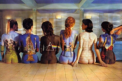 Punk Seattle Pink Floyd Music Rock Band Art Canvas Poster 24X36 Inch Sexy Girls Picture 02