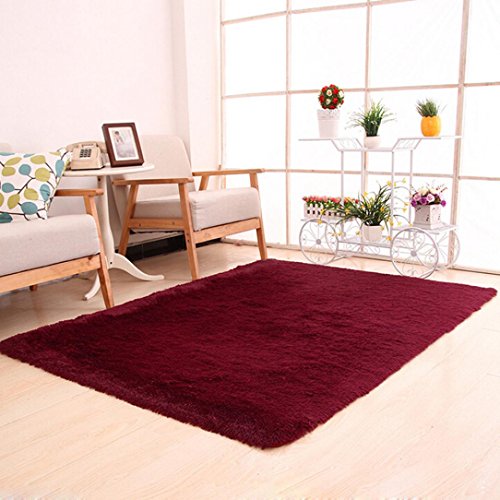 Gotd Fluffy Rugs Area Rug Carpet Floor Mat For Dining Room Home Bedroom 120x20cm (Red)