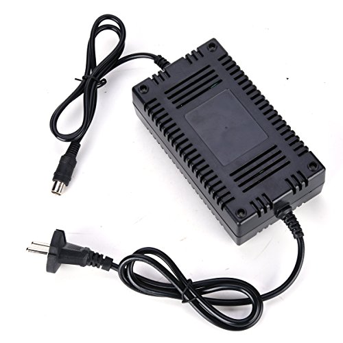 Buy Wingsmoto 24V Lead Battery Charger Ebike Electric Scooter Bicycle Tricycle Battery Charger