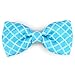 Martha Stewart Bow Tie Pet Collar Accessory Set, One Size