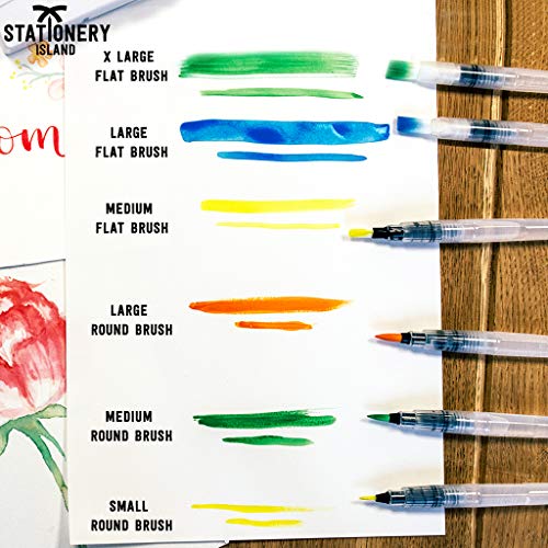Stationery Island Aqua Brushes Pack of 6 Assorted Nibs. Refillable