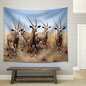 New York City - Dec 5: The American Museum of Natural History, with Collections Contain Over 32 Million Specimens - Fabric Wall Tapestry Home Decor - 51x60 inches