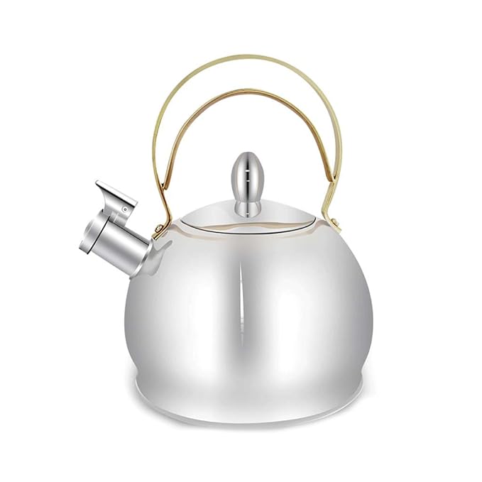Gas kettle large capacity kettle 201 stainless steel kettle Review
