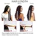 Doren Deep Curly Clip In Human Hair Extensions for Women 8Pcs 20Clips 120g 8A Virgin Remy Brazilian Wavy Curly Hair Natural Color 16 Inches