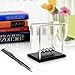 Classic Newtons Cradle Balance Balls Science Psychology Puzzle Desk Fun Gadget with Black Wooden Base (Medium)